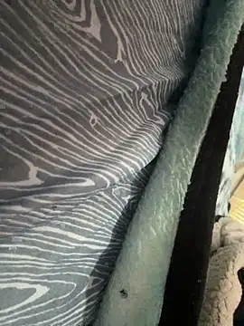 Snapshot of Followthepiper chatting on 11/10/25, 07:35 Followthepiper online show from 11/10/25, 07:35