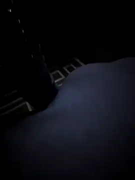 Southern Bella online show from 11/20/25, 08:03