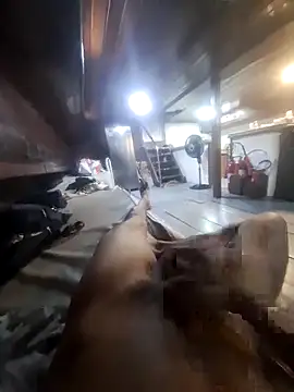 Jhon22z online show from 02/23/26, 04:37