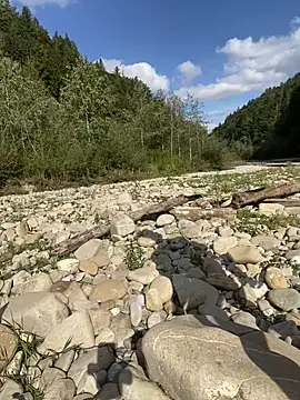 Snapshot of artXhibitor chatting on 09/29/25, 01:16 artXhibitor online show from 09/29/25, 01:16