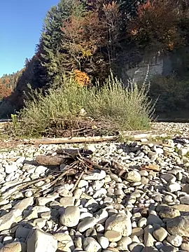 Snapshot of artXhibitor chatting on 10/18/25, 02:29 artXhibitor online show from 10/18/25, 02:29