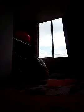 Cameron puppy online show from 11/15/25, 08:38