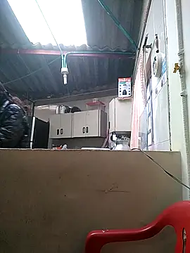 Cameron puppy online show from 03/16/26, 06:12