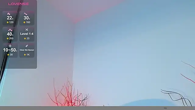 Snapshot of mike_wallace chatting on 12/12/24, 06:21 mike wallace online show from 12/12/24, 06:21