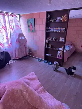 Sachi Meow online show from 02/25/26, 06:06