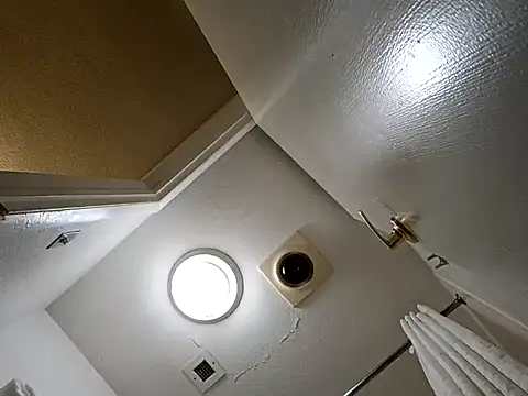 Snapshot of Treemandude chatting on 10/29/25, 02:36 Treemandude online show from 10/29/25, 02:36