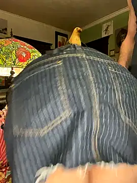 sexyasscougar online show from 11/29/25, 04:04