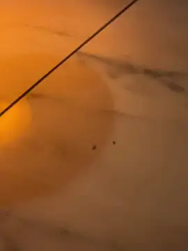 Mia Novikov online show from 03/07/26, 07:05