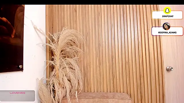 sofhiaa adaams online show from 02/22/26, 05:11