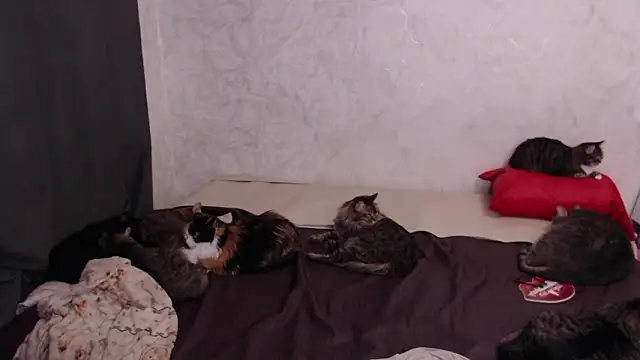 Olivia Winston online show from 02/04/26, 03:18