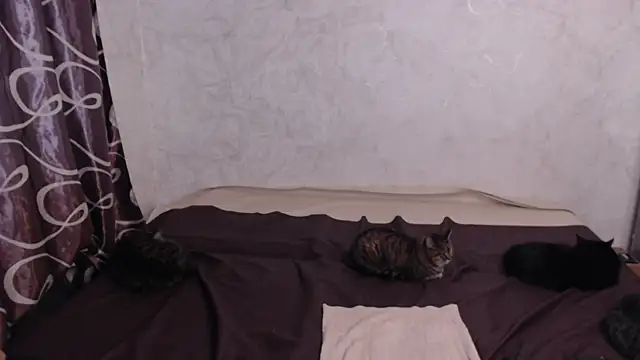 Olivia Winston online show from 04/10/26, 02:39