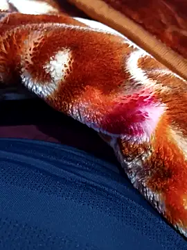 Snapshot of ak007_desire chatting on 12/15/25, 04:00 ak007 desire online show from 12/15/25, 04:00