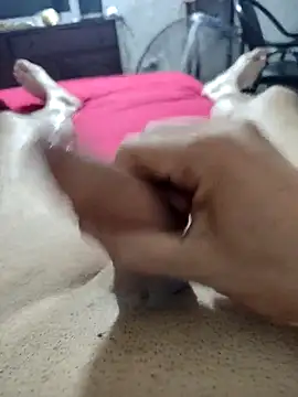 quierodarleche69 online show from 02/16/26, 03:02