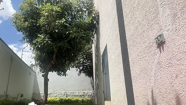 Snapshot of ChocolateCakeQueen chatting on 11/11/25, 04:40 ChocolateCakeQueen online show from 11/11/25, 04:40