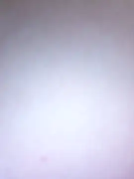 BlackCurly online show from 05/24/26, 07:08