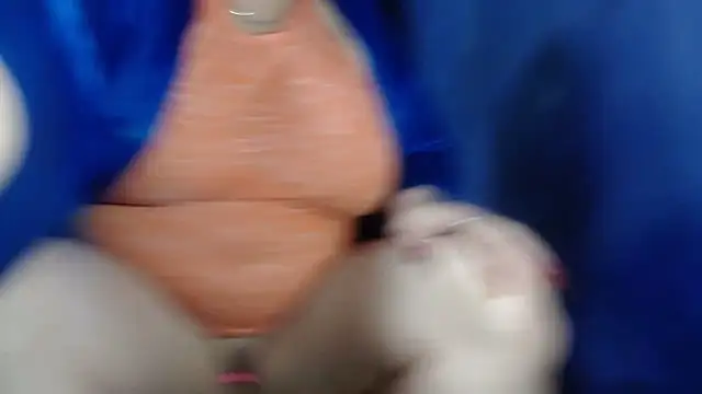 CamelliaLong online show from 03/06/25, 11:53