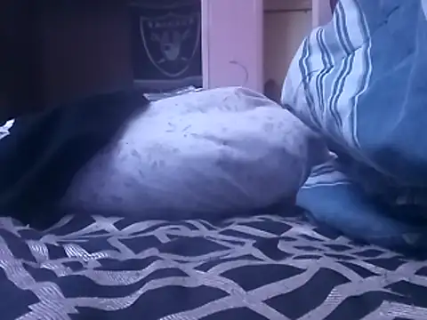 Blkstylion online show from 02/05/26, 07:07