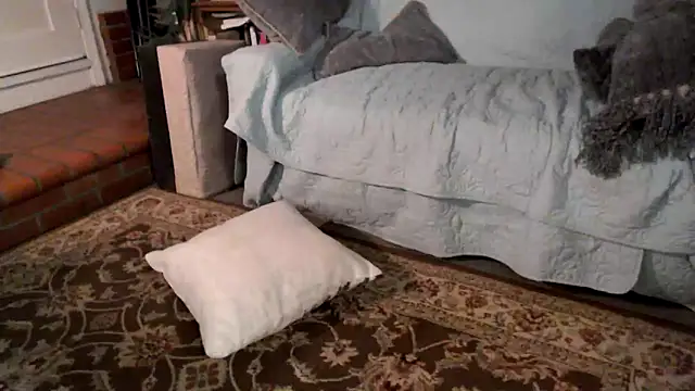 Dark Asteroid online show from 02/20/26, 12:38