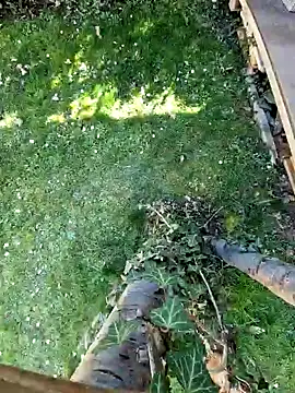 Lorent6969 online show from 03/07/25, 01:18