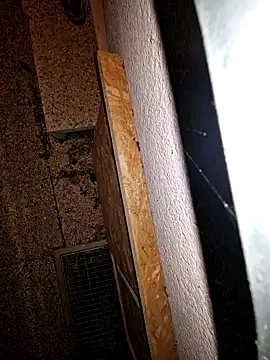 Lorent6969 online show from 09/19/25, 03:52