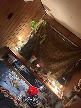 SexToyOnely online show from 02/06/26, 08:56