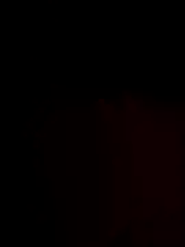 FantasticWonders9 online show from 11/25/25, 12:21