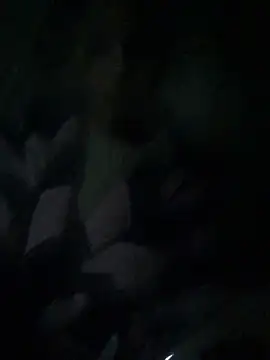 ChantalXOrchid online show from 04/04/26, 10:51