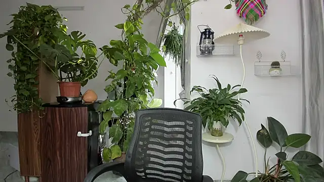 Oliver Nl online show from 11/17/25, 05:24