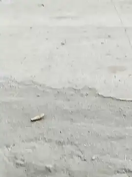 Snapshot of Monster_Bigdick chatting on 12/07/24, 10:56 Monster Bigdick online show from 12/07/24, 10:56