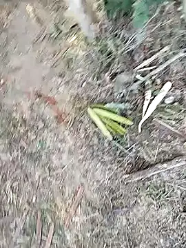 Snapshot of Monster_Bigdick chatting on 01/12/25, 11:07 Monster Bigdick online show from 01/12/25, 11:07