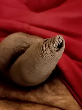 Ashish02345 online show from 01/25/25, 08:31