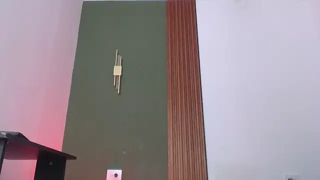 Snapshot of jean_sneider chatting on 12/15/25, 08:46 jean sneider online show from 12/15/25, 08:46