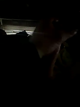 Snapshot of dickemdowncharleybrown chatting on 12/17/25, 03:51 dickemdowncharleybrown online show from 12/17/25, 03:51