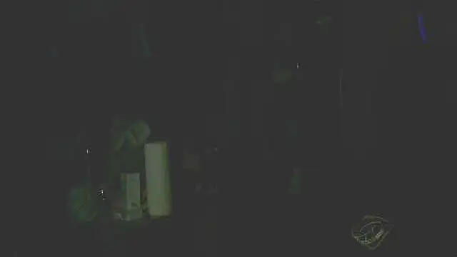 Snapshot of perversalus chatting on 12/14/25, 05:29 perversalus online show from 12/14/25, 05:29