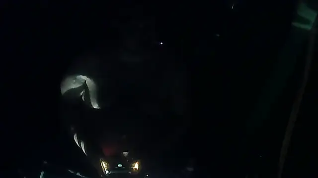 perversalus online show from 03/12/26, 05:08