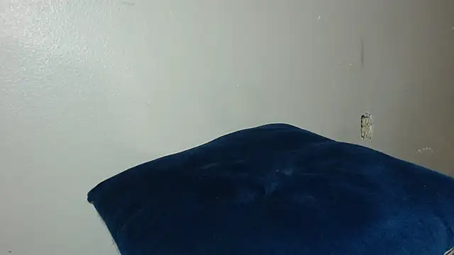 Dogz n daugthers online show from 12/20/24, 08:17