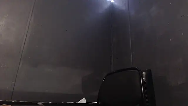 Dogz n daugthers online show from 01/29/25, 08:25