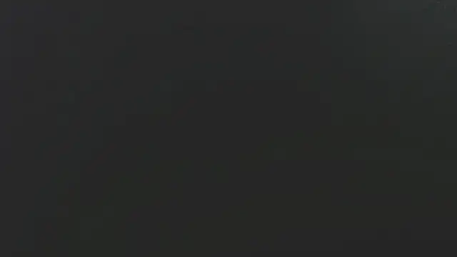 Dogz n daugthers online show from 02/02/25, 03:21