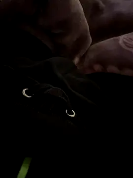 Snapshot of balamuc97 chatting on 12/04/25, 11:52 balamuc97 online show from 12/04/25, 11:52