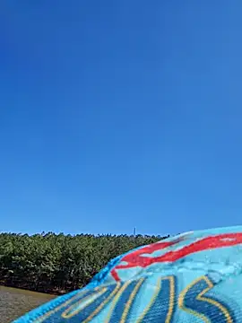 Dixiefaye Pika online show from 03/18/25, 08:15