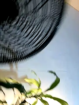 Snapshot of _Miguel100 chatting on 11/06/25, 02:56 Miguel100 online show from 11/06/25, 02:56