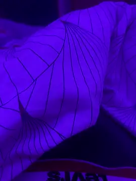 Snapshot of Maxxxooouuu chatting on 03/01/26, 08:11 Maxxxooouuu online show from 03/01/26, 08:11