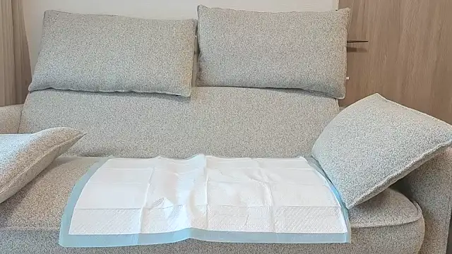 Snapshot of Ema_japanese chatting on 11/20/25, 06:13 Ema japanese online show from 11/20/25, 06:13