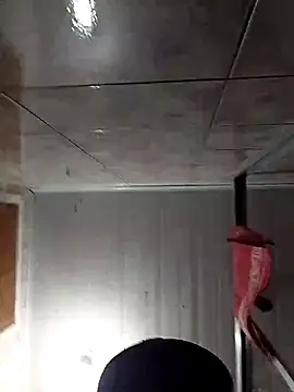 Snapshot of Adee21e chatting on 11/17/25, 08:47 Adee21e online show from 11/17/25, 08:47