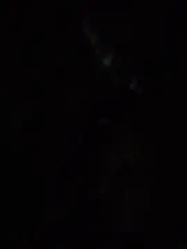 SassyAss Coco online show from 04/22/26, 05:54