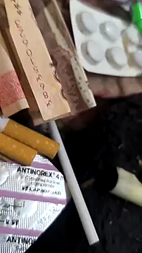 trans511 online show from 04/11/26, 08:57