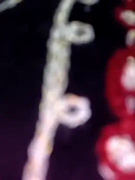 Anamika 24 online show from 11/08/25, 04:34