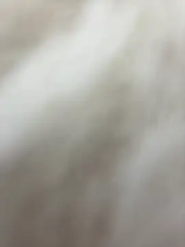 Snapshot of NewLale chatting on 01/27/25, 06:30 NewLale online show from 01/27/25, 06:30