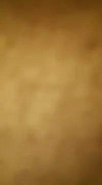 vinzpnr210 online show from 01/15/25, 11:10