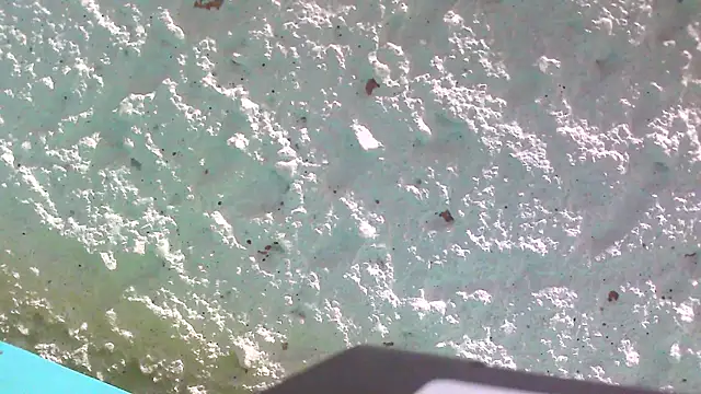 carolinesampaio online show from 03/18/25, 06:36